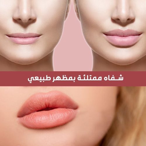 WhatsApp Image 2024-11-05 at 19.29.01_79fa2d7a